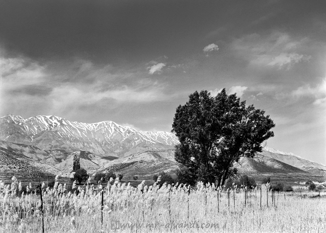 A view in the Arjomand region