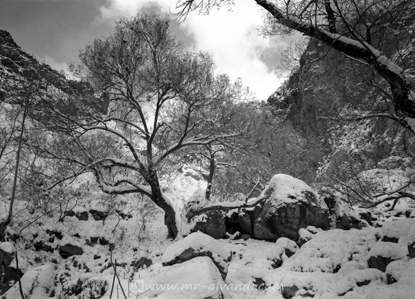 Darabad valley in a snowy day/دره دارآباد در یک روز برفی