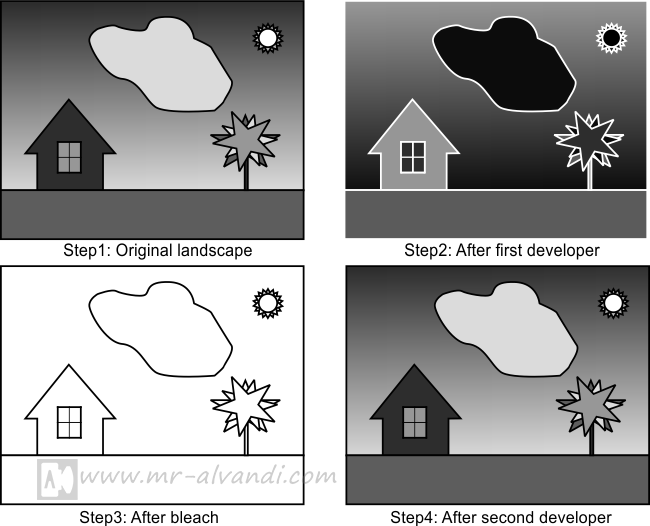 A schematic of the reversal processing black and white film