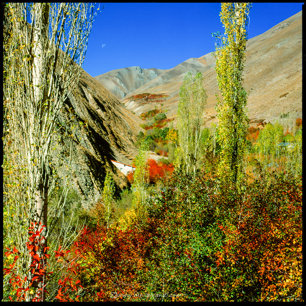 Beautiful autumn in Ahhar Valley