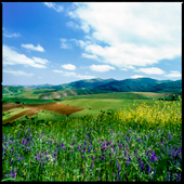 Beautiful province of Azerbaijan in spring