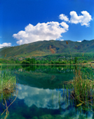 Evan Lake, and its marginal canebrake