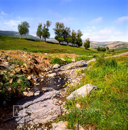 Spring in the Kaleibar plains, بهار در دشتهای کلیبر