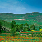 Kaleibar and beautiful landscape,کلیبر و منظره زیبا