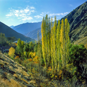 Autumn morning in Shahrestanak, طلوع آفتاب در شهرستانک